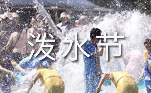 难忘的泼水节优秀教学教案