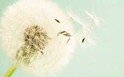 ���ѹ�Ӣ����ѧ���