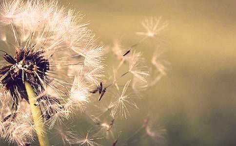 �ѹ�Ӣ���̰�