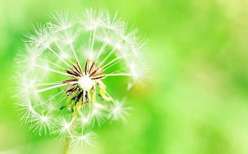 ���ѹ�Ӣ���а�̰�