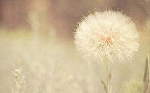 �ѹ�Ӣ���̰�7ƪ