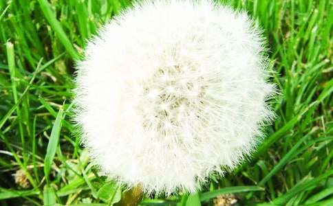 ���ѹ�Ӣ����ѧ��˼