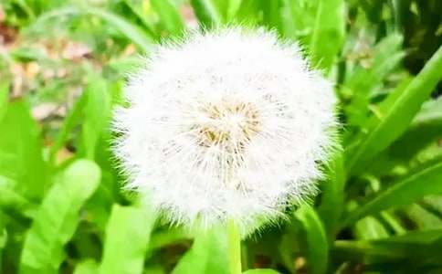 ���ѹ�Ӣ���Ρ���ѧ���