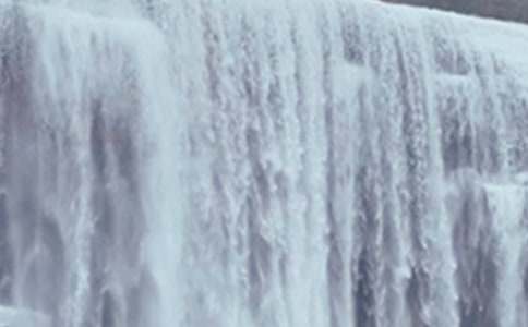 ����ѡ�����ƹ����ٲ�����ѧ���