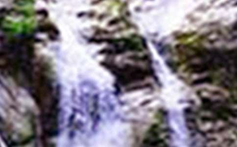 �������ٲ�����ѧ���[����14ƪ]