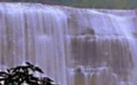 �ƹ����ٲ���ѧ���15ƪ