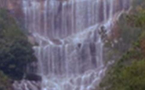 有关紫藤萝瀑布教案4篇