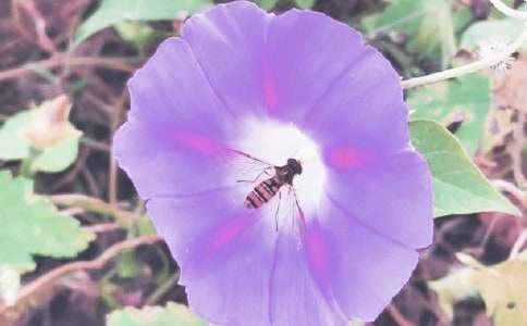 ��������ǣţ������ѧ���