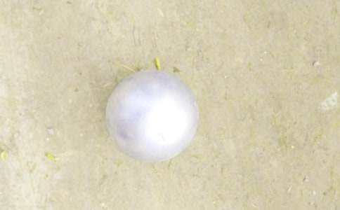 ��Ǧ��˵�θ�