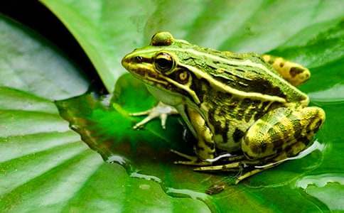 ��С���ܡ���ѧ��˼��ͨ��22ƪ��