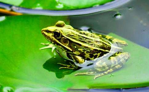 �����ֵ�С���ܡ���ѧ��˼