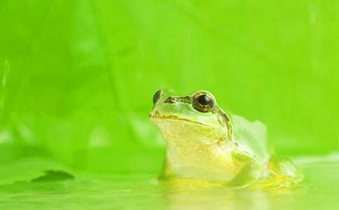 �����ܿ�������ѧ��˼15ƪ