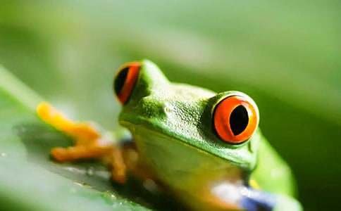 С���������ʽ̰���С�����Ҽҡ�