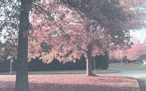 2022年秋季安全第一课教案(通用8篇)