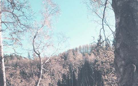 秋季预防传染病教案