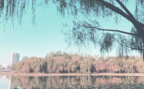 �й��＾�����ƻ����ĺϼ�9ƪ