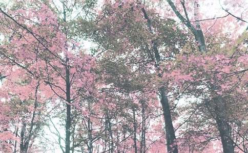 �＾��ѧ�����ܽ�3ƪ