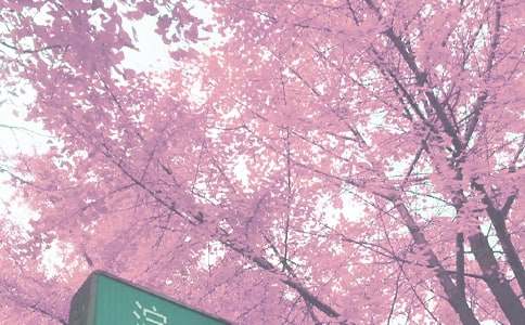 有关秋季教学总结4篇