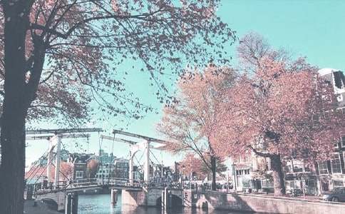 秋季教学工作总结范文集锦6篇