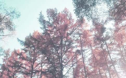 �＾��ѧ�����ܽ᷶�Ļ���8ƪ