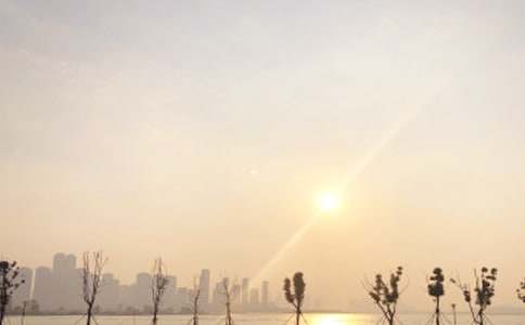 ���ຣ���ճ���ѧ��˼����ѡ8ƪ��