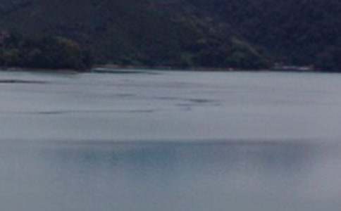 ����̶��ѧ��˼�������