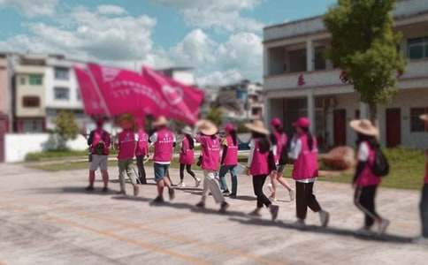 ��ѧ�����������ʵ�������ܽ�ϼ�10ƪ