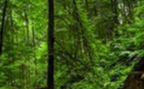 ɭ�ֽ�ѧ��˼