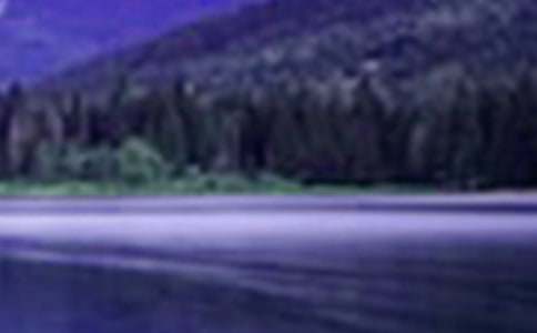 �����ɽˮ����������ѧ���