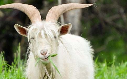 ��ɽ�������Ծ����ѧ���