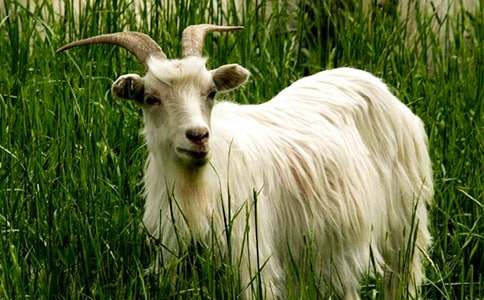 Сɽ����·��̰�