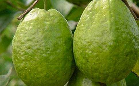 С���ۺϡ��óԵ�ʯ�񡷽�ѧ���