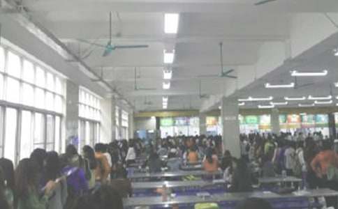 ʳ��Ա�����˹����ܽᣨ��ѡ16ƪ��