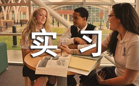 ʵϰ����ѧ�ܽᣨ��ѡ26ƪ��