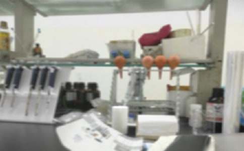 【荐】小学科学实验室工作总结