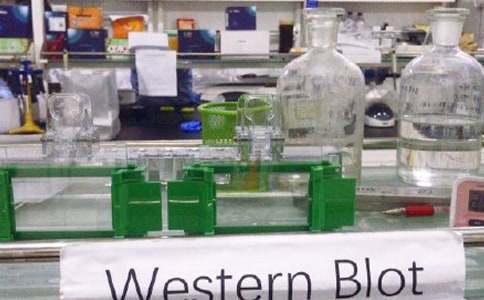 化学实验室工作总结范文