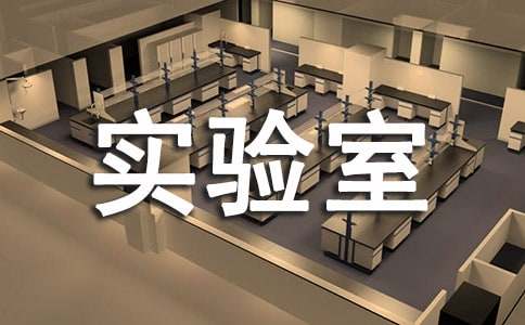 ��ѧʵ���ҹ����ܽ�20ƪ