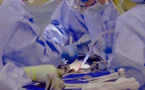 ����Э������ƪ