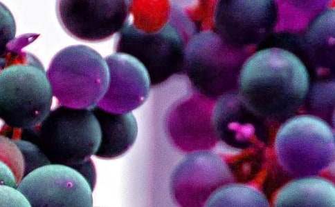 �׶�ˮ����ѧ��˼