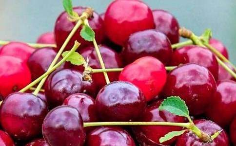 С��ˮ��ƴ�̰̽�8ƪ