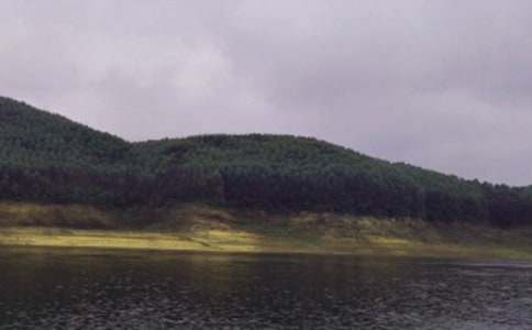 �����Ϸ�̰������������ˮ�⡷