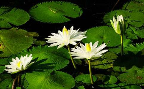 �а��ѧ�̰���˯�������̰�����ѧ��˼