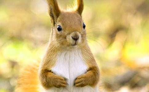 �����󡷽�ѧ��˼[����]