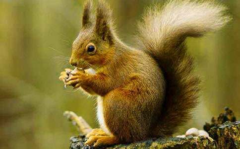 ���ܽ����������󡷽̰����ѧ��˼