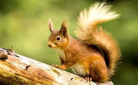 ���ġ��ܽ����������󡷽�ѧ��˼3ƪ