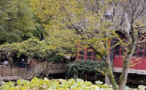 ����԰��˵�θ塾��Ʒ15ƪ��