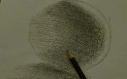 �����ѧ���-��ѧ���