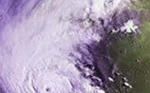 ����̨�������˵�θ�