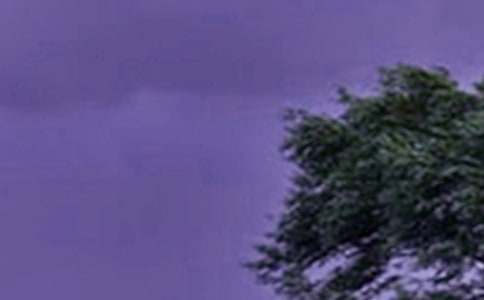 Ԥ��̨�繤���ܽ�5ƪ