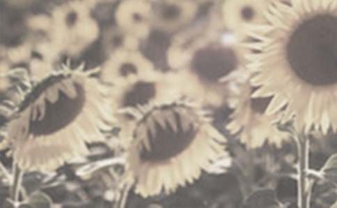 ��һƬ̫����˵�θ�3ƪ